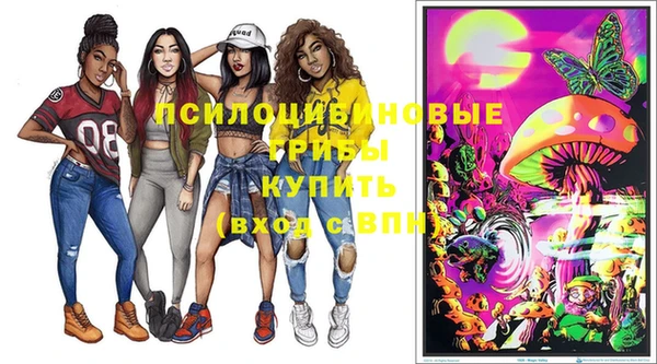 индика Аркадак
