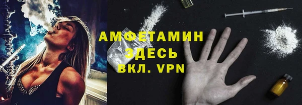 индика Аркадак
