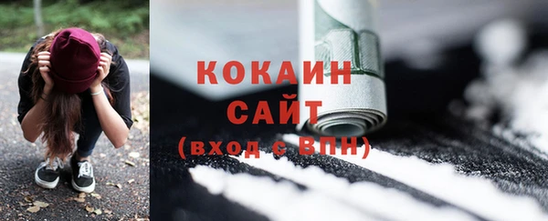 индика Аркадак
