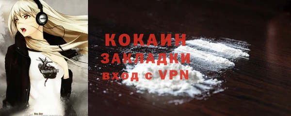 индика Аркадак