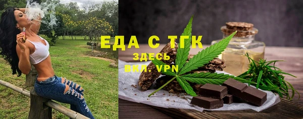 индика Аркадак