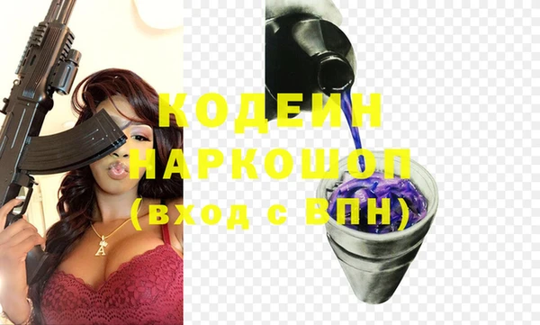 индика Аркадак