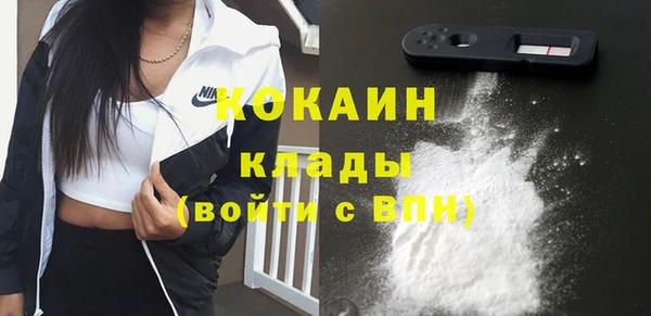 индика Аркадак