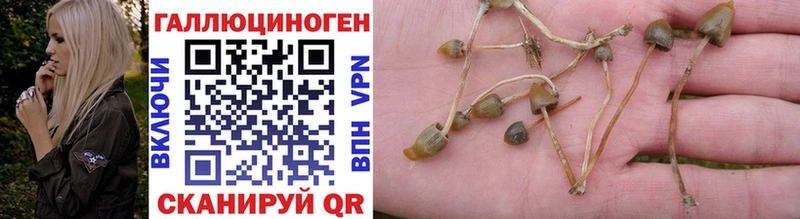 наркотики  Аркадак  blacksprut tor  Галлюциногенные грибы мухоморы 